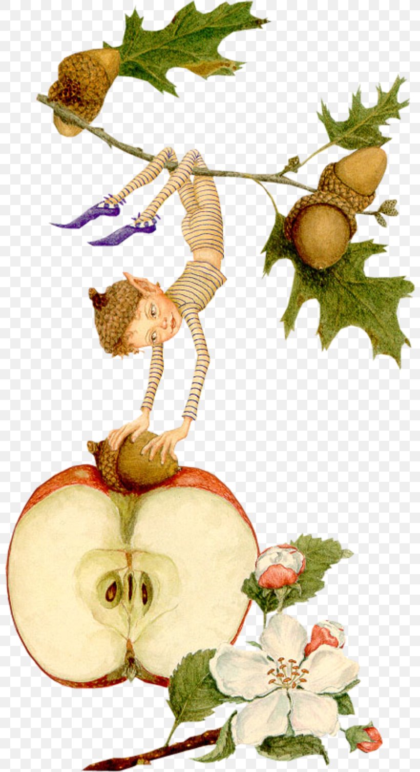 Family Child Idea Housewife Conte, PNG, 800x1506px, Family, Apple, Child, Conte, Flower Download Free