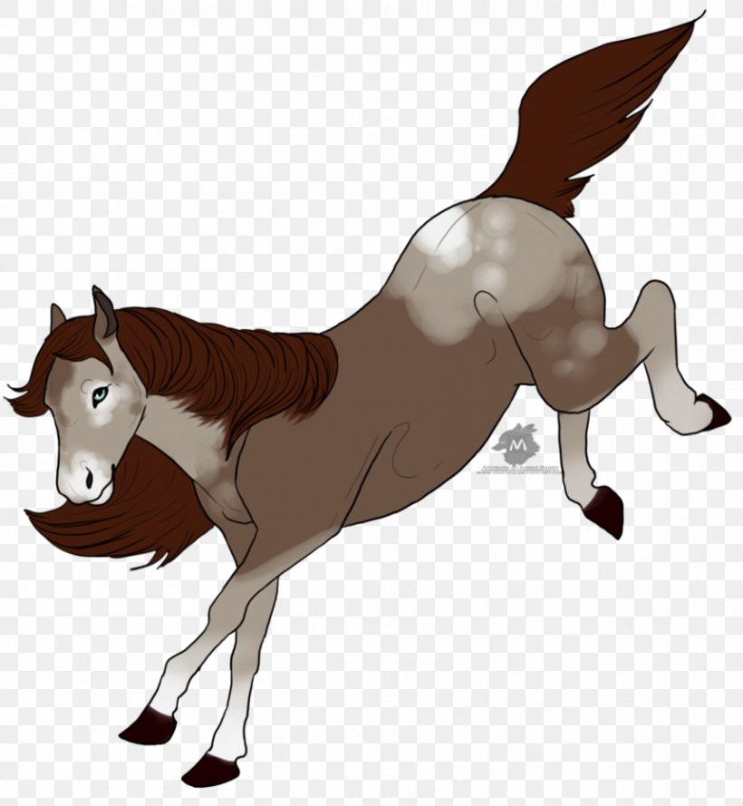 Mule Foal Stallion Mustang Mane, PNG, 858x931px, Mule, Animal Figure, Bridle, Colt, Dog Like Mammal Download Free