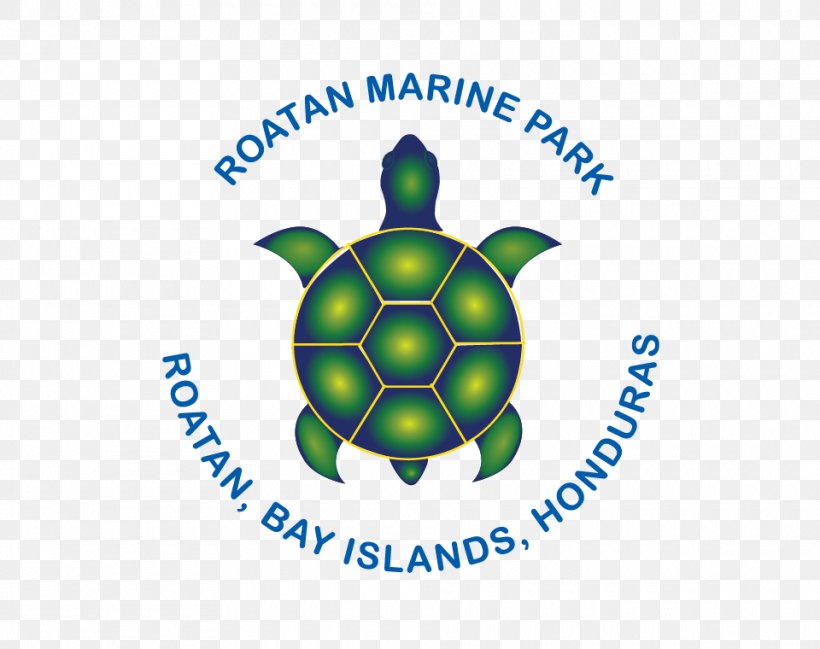 Roatán Marine Park T-shirt ROATAN MARINE PARK, NGO Grumpy Cat Coral Reef, PNG, 960x760px, Tshirt, Area, Bay Islands Department, Brand, Coral Reef Download Free