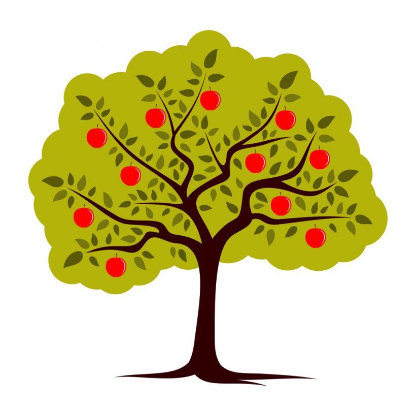 Apple Fruit Tree Clip Art, PNG, 1024x1003px, Apple, Apple Seed Oil, Art, Branch, Flower Download Free
