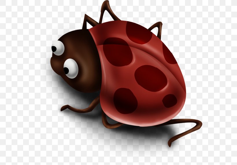 Ladybird Insect Clip Art, PNG, 582x569px, Ladybird, Arthropod, Beetle, Child, Coccinelle Download Free