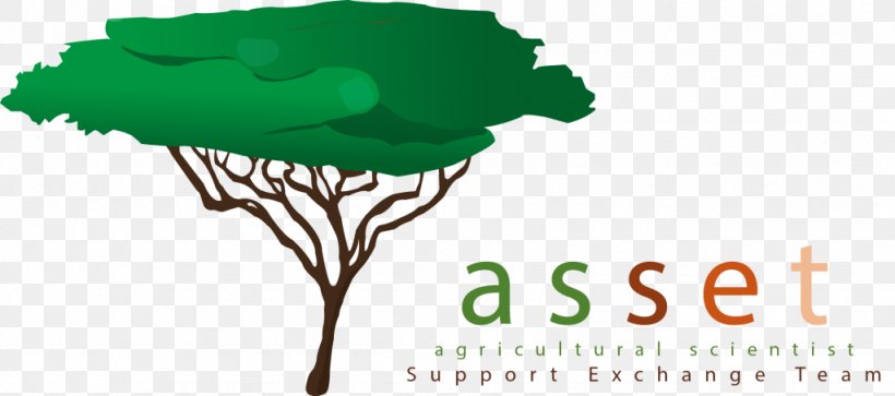 Logo Brand Tree Wattles, PNG, 1024x454px, Logo, Asset, Award, Brand, Green Download Free