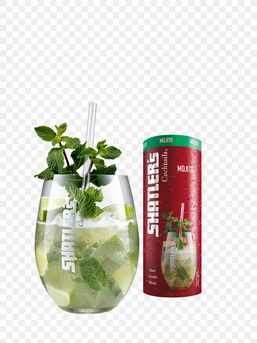 Mojito Bacardi Cocktail Long Island Iced Tea Mint Julep, PNG, 899x1200px, Mojito, Alcoholic Drink, Bacardi Cocktail, Beverages, Cocktail Download Free