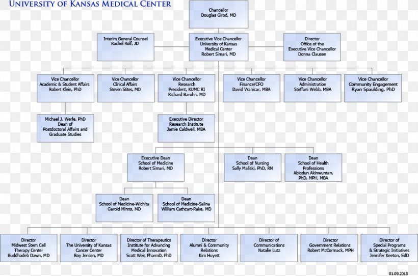 Organizational Chart The University Of Kansas Medical Center Diagram Organizational Structure, PNG, 900x595px, Organizational Chart, Area, Brand, Business Process, Chart Download Free