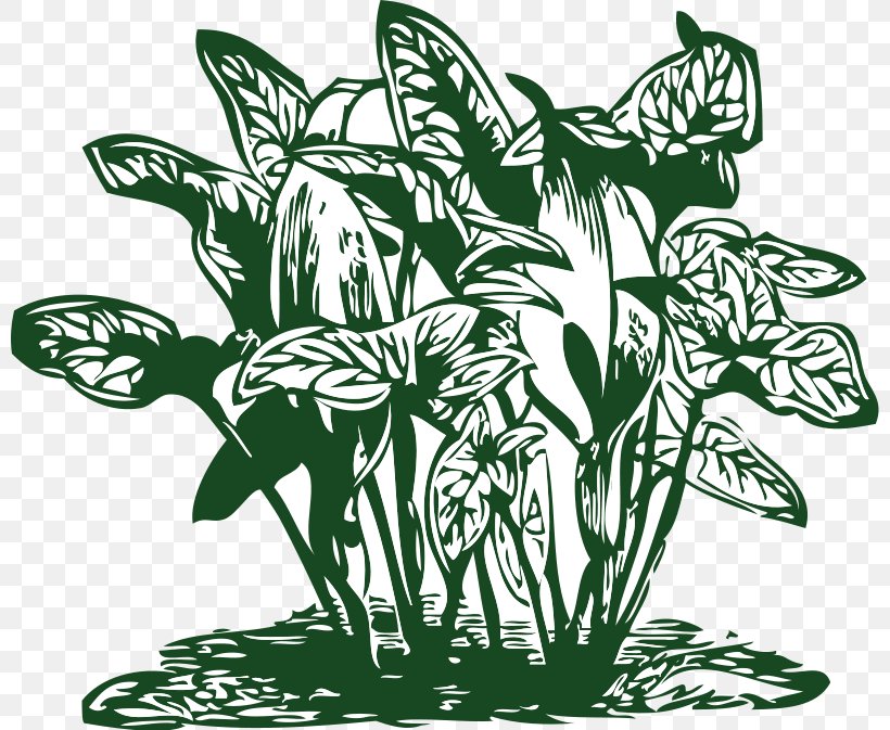 Plant Tropics Tropical Vegetation Clip Art, PNG, 800x673px, Plant, Black And White, Commodity, Flora, Flower Download Free