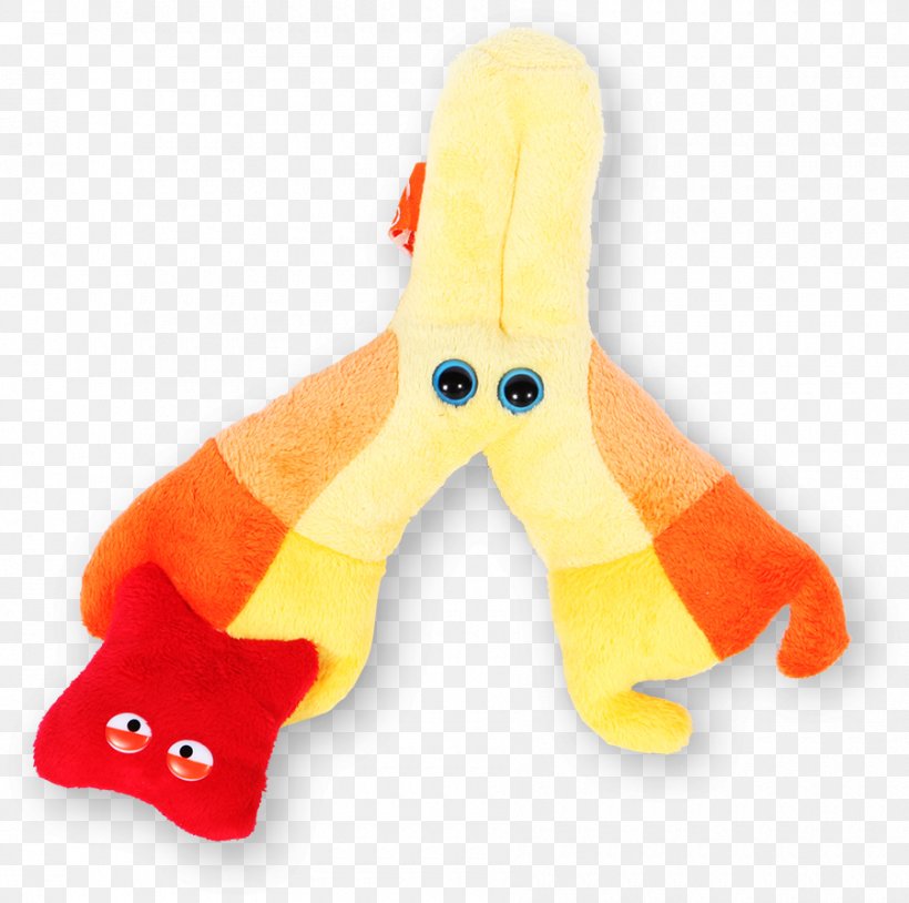 Questacon Stuffed Animals & Cuddly Toys GIANTmicrobes Microorganism, PNG, 900x894px, Questacon, Amoeba, Antigen, Baby Toys, Bacteria Download Free