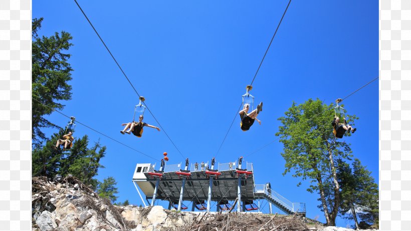 San Francisco Cable Car System Leisure Vacation Tree Tourism, PNG, 1560x878px, San Francisco Cable Car System, Adventure, Cable Car, Electrical Cable, Leisure Download Free