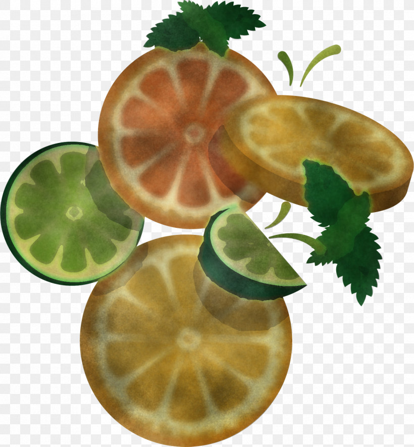 Citrus Leaf Fruit Lime Lemon, PNG, 1347x1454px, Citrus, Food, Fruit, Kaffir Lime, Leaf Download Free