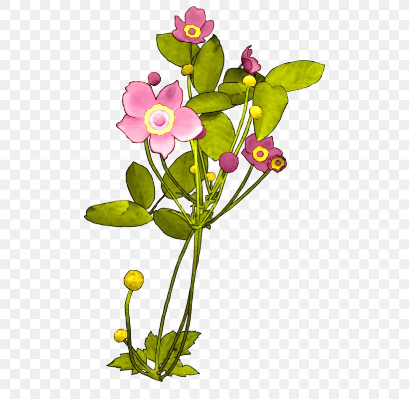 Design Image Plants Adobe Photoshop, PNG, 507x800px, Plants, Botany, Centaurium, Cut Flowers, Drawing Download Free