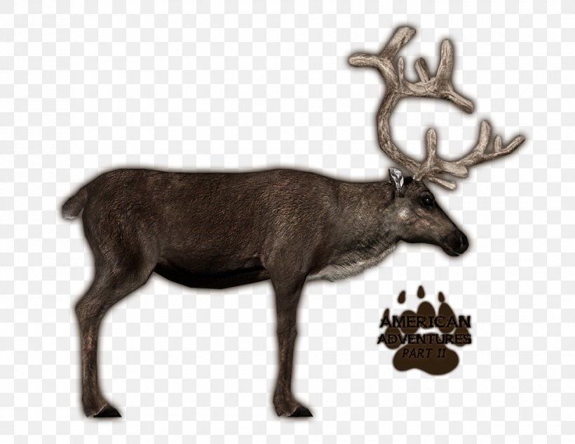 Zoo Tycoon 2 Deer Antler Porcupine Caribou, PNG, 980x757px, Zoo Tycoon 2, Animal, Antler, Deer, Elk Download Free