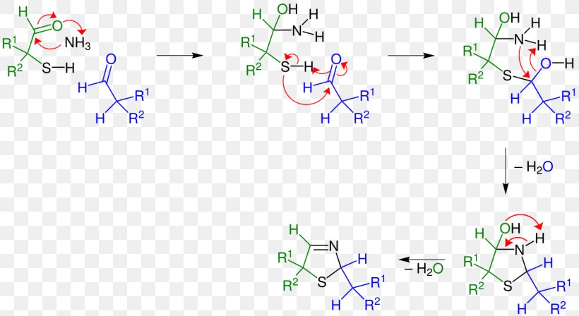 Asinger Reaction Thiazoline Chemical Reaction Aldehyde Sulfur, PNG, 1280x700px, Thiazoline, Aldehyde, Alkylation, Area, Chemical Reaction Download Free