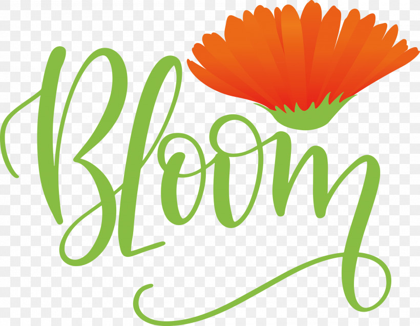 Bloom Spring, PNG, 3000x2329px, Bloom, Flower, Flowerpot, Free, Logo Download Free