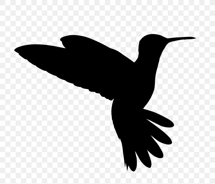Hummingbird Beak Clip Art Fauna, PNG, 768x702px, Hummingbird, Beak, Bird, Coraciiformes, Fauna Download Free