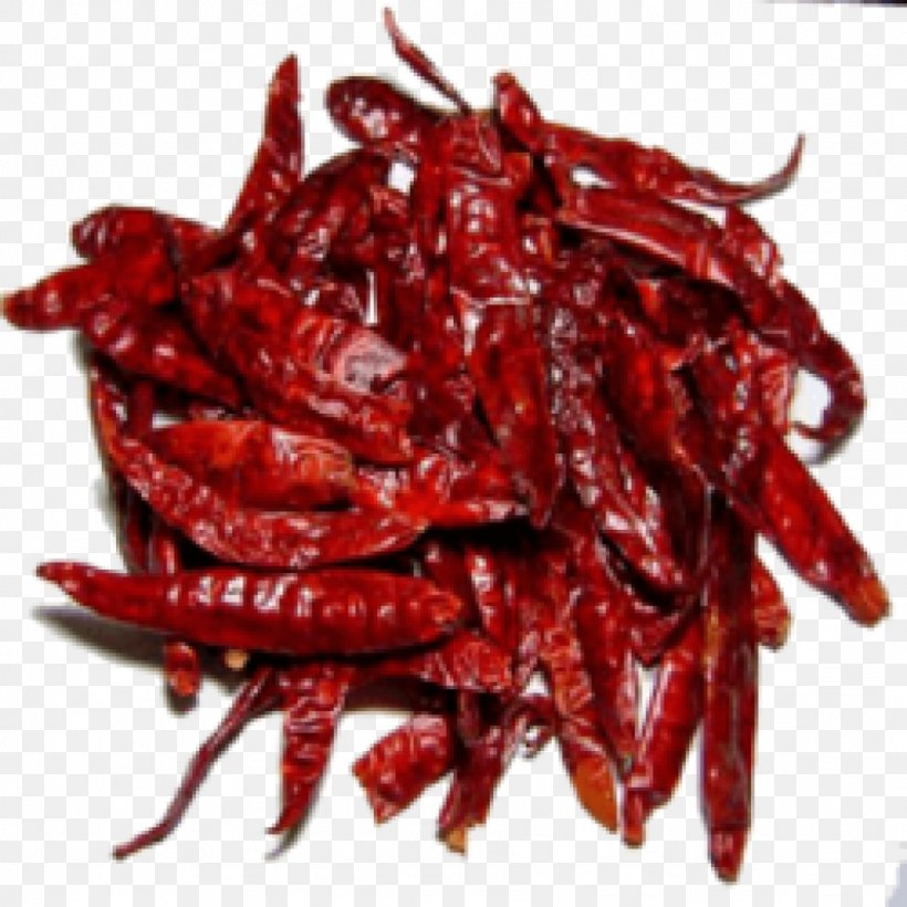 Indian Cuisine Chili Pepper Spice Food Drying Dried Fruit, PNG, 1024x1024px, Indian Cuisine, Bell Pepper, Bell Peppers And Chili Peppers, Black Pepper, Cayenne Pepper Download Free
