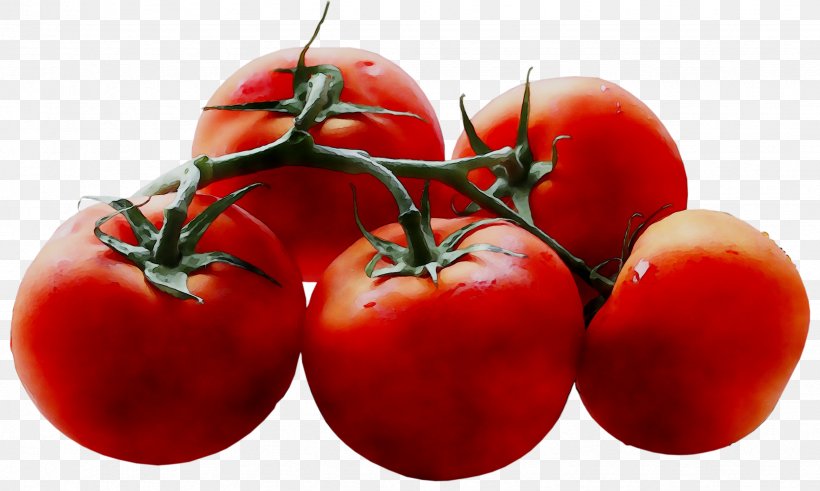 Plum Tomato Bush Tomato Superfood, PNG, 2465x1478px, Plum Tomato, Barbados Cherry, Bush Tomato, Cherry, Cherry Tomatoes Download Free