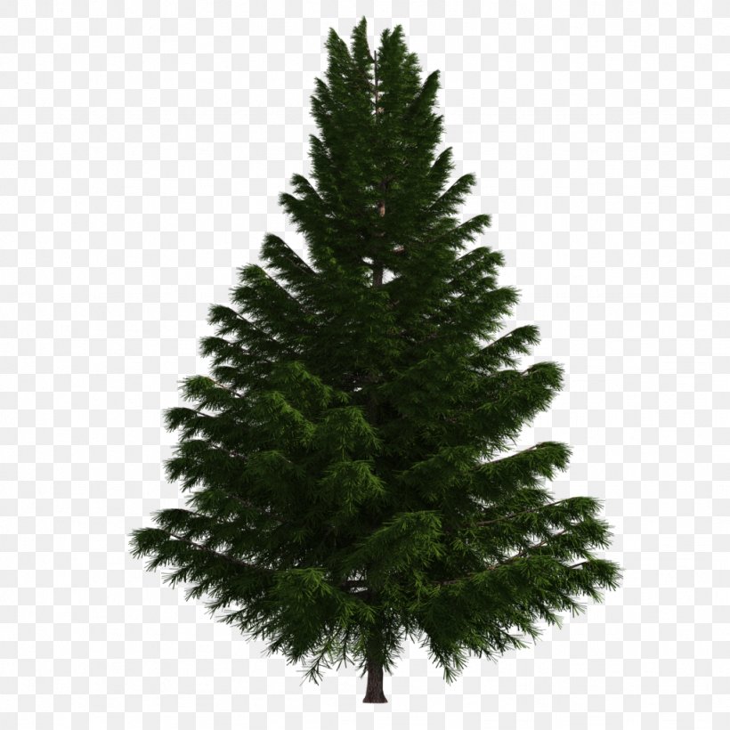 Artificial Christmas Tree Spruce Pinus Thunbergii, PNG, 1024x1024px, Tree, Artificial Christmas Tree, Biome, Bonsai, Christmas Download Free