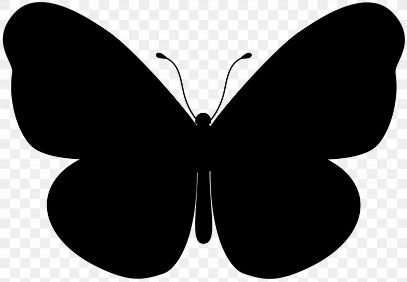 Butterfly Illustration Desktop Wallpaper, PNG, 8000x5551px, Butterfly, Blackandwhite, Brushfooted Butterfly, Insect, Invertebrate Download Free