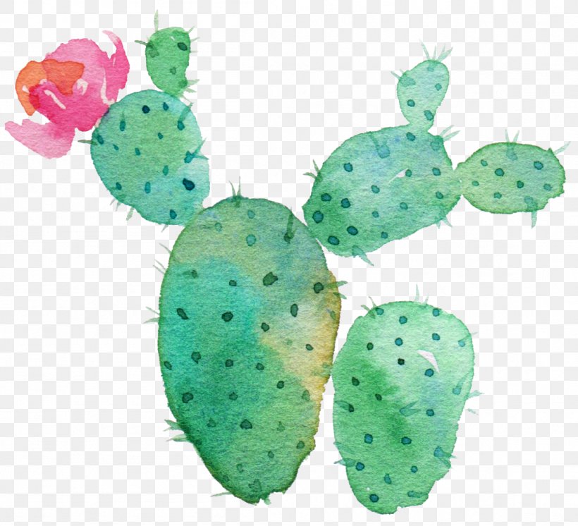 Cactaceae Succulent Plant Drawing Printing, PNG, 1153x1050px, Cactaceae, Art, Cactus, Canvas Print, Desert Download Free
