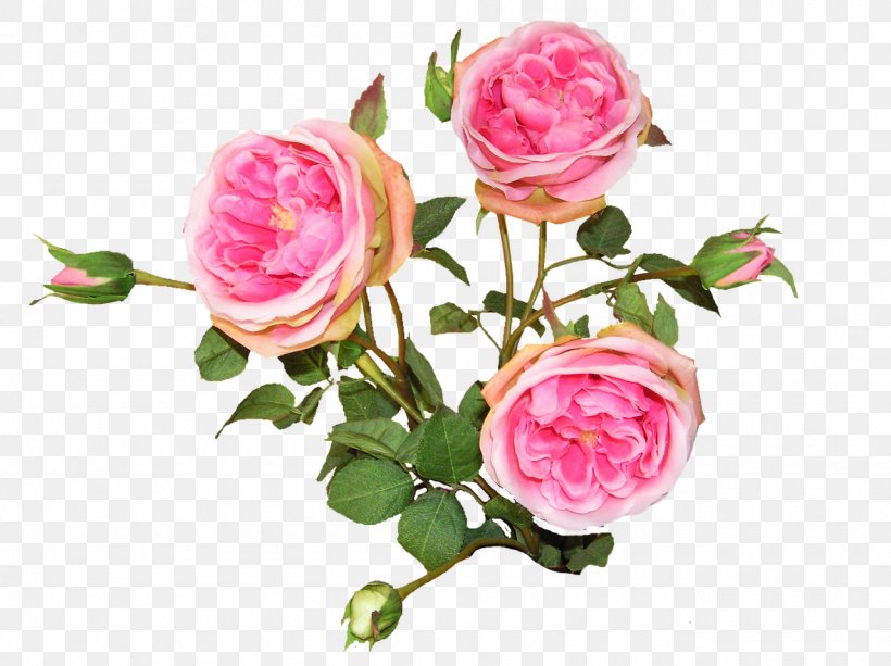 Garden Roses French Rose Cabbage Rose Floribunda Flower Bouquet, PNG, 1280x957px, Garden Roses, Artificial Flower, Cabbage Rose, Cut Flowers, Floral Design Download Free