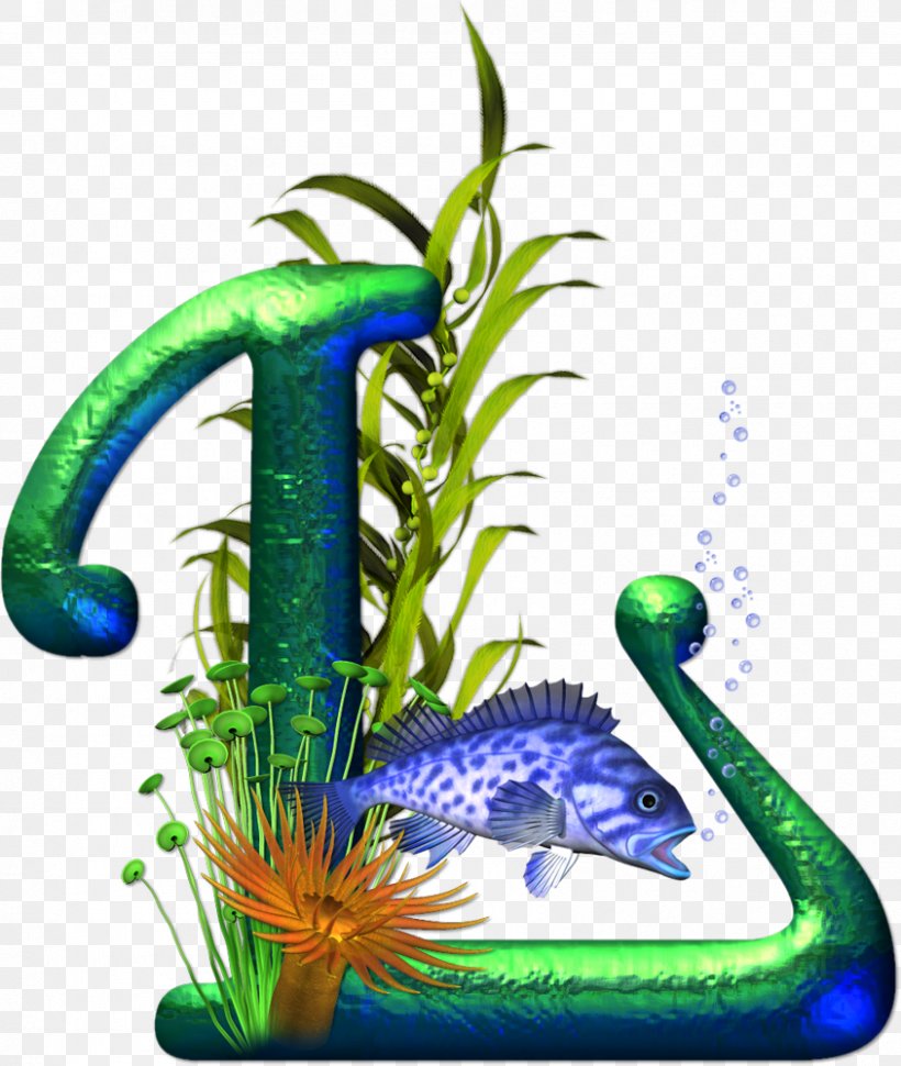 Letter Alphabet Word Å, PNG, 844x999px, Letter, Alphabet, Aquarium, Fish, Grass Download Free