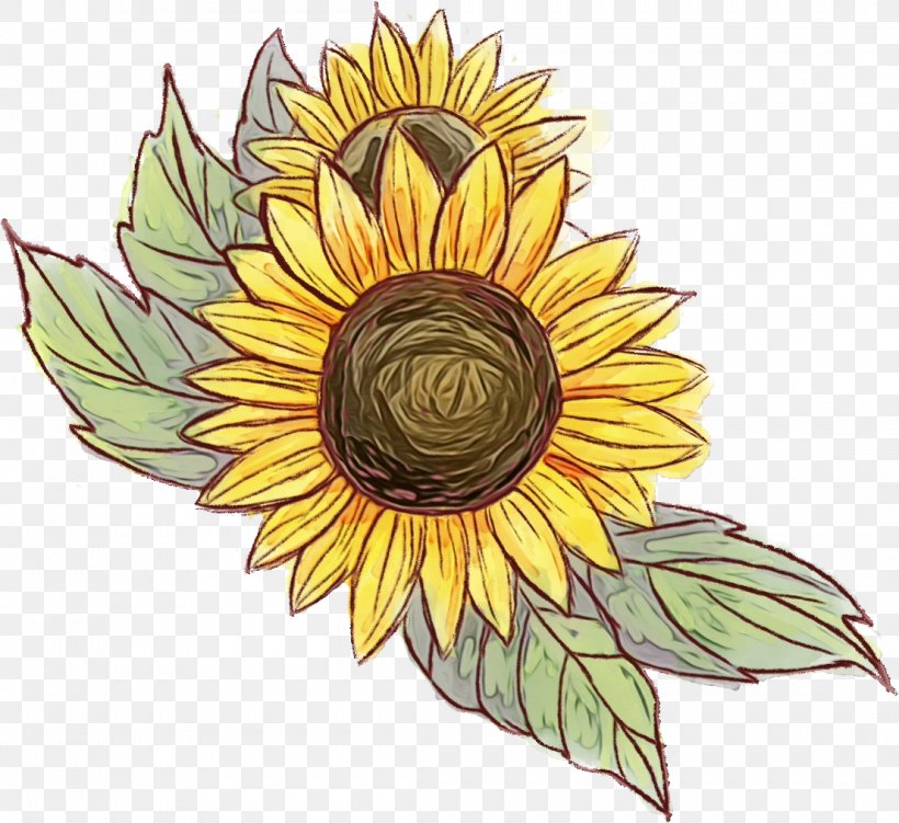 Sunflower, PNG, 1107x1015px, Watercolor, Flower, Flowering Plant, Leaf, Paint Download Free