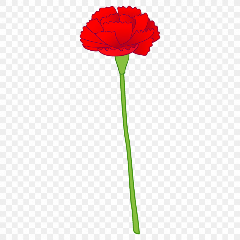 Carnation Flower, PNG, 1200x1200px, Carnation, Coquelicot, Cut Flowers, Flower, Pedicel Download Free