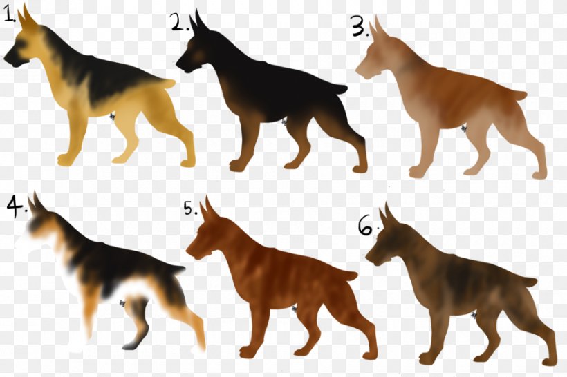 Dog Breed Fauna Wildlife, PNG, 900x600px, Dog Breed, Breed, Carnivoran, Dog, Dog Like Mammal Download Free