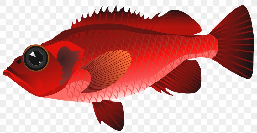 Sashimi Fish Clip Art, PNG, 3000x1553px, Sashimi, Coral Trout, Fish, Grouper, Orange Download Free