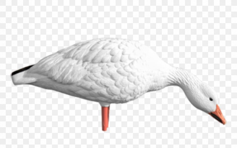 Snow Goose Duck Cygnini Decoy, PNG, 940x587px, Goose, Animal, Architectural Engineering, Beak, Bird Download Free
