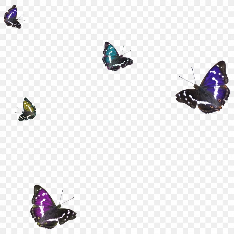 Butterfly 1080p High-definition Television Clip Art, PNG, 1024x1024px, Butterfly, Butterflies And Moths, Flower, Highdefinition Television, Insect Download Free