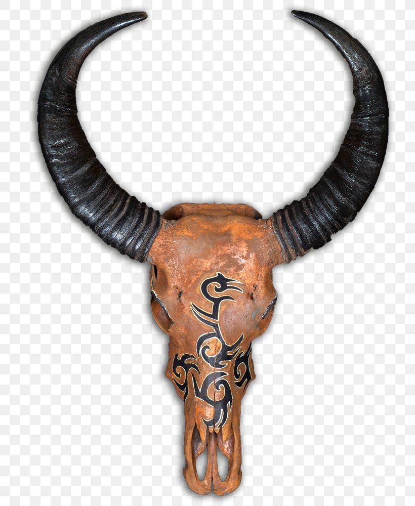 Cattle Horn Skull Artist Animal, PNG, 757x1000px, Cattle, Animal, Artist, Horn, Skull Download Free
