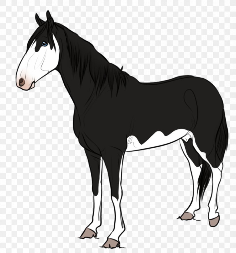 Foal Stallion Mustang Mane Mare, PNG, 864x924px, Foal, Black And White, Bridle, Character, Colt Download Free