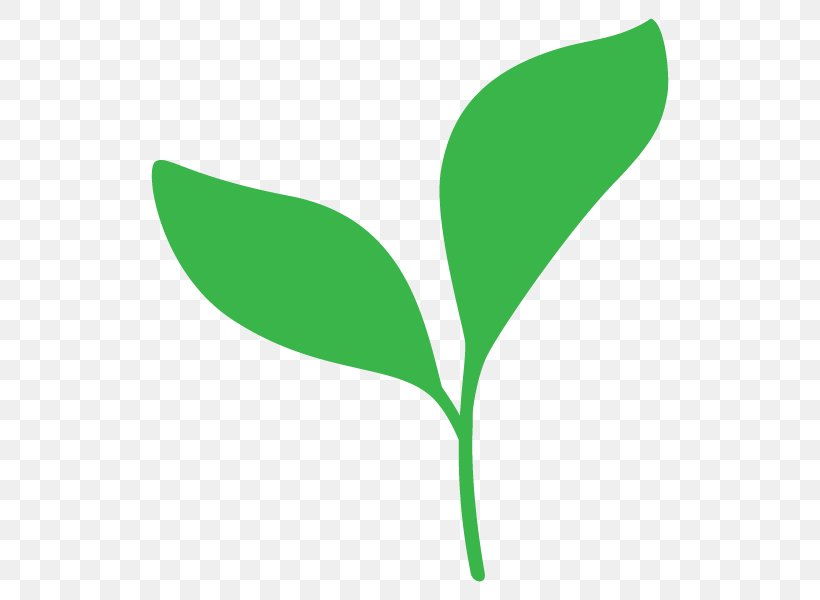 Leaf Illustration Bud Plants Plant Stem, PNG, 600x600px, Leaf, Bud, Flower, Grass, Green Download Free