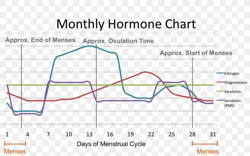 Menstrual Cycle Menstruation Premenstrual Syndrome Hormone Estrogen, PNG, 1482x927px, Menstrual Cycle, Area, Cortisol, Diagram, Estrogen Download Free