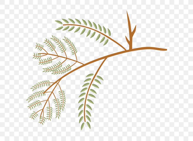 Twig Leaf Sweetgum Tree Liriodendron Tulipifera, PNG, 600x600px, Twig, Branch, Bur Oak, Flora, Grass Family Download Free
