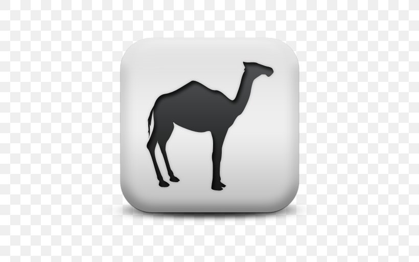 Dromedary Bactrian Camel Llama Vicuña, PNG, 512x512px, Dromedary, Alpaca, Animal, Bactrian Camel, Camel Download Free