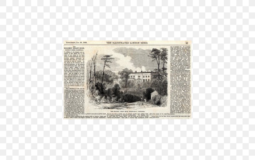 Paper Roslyn, Pennsylvania Postage Stamps Picture Frames Printing, PNG, 514x514px, Paper, Animal, Fauna, Infant, Mail Download Free