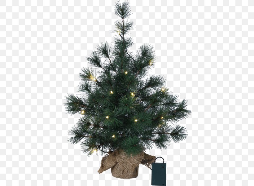 Spruce Christmas Tree Fir Christmas Ornament, PNG, 600x600px, Spruce, Advent Wreath, Christmas, Christmas Decoration, Christmas Ornament Download Free