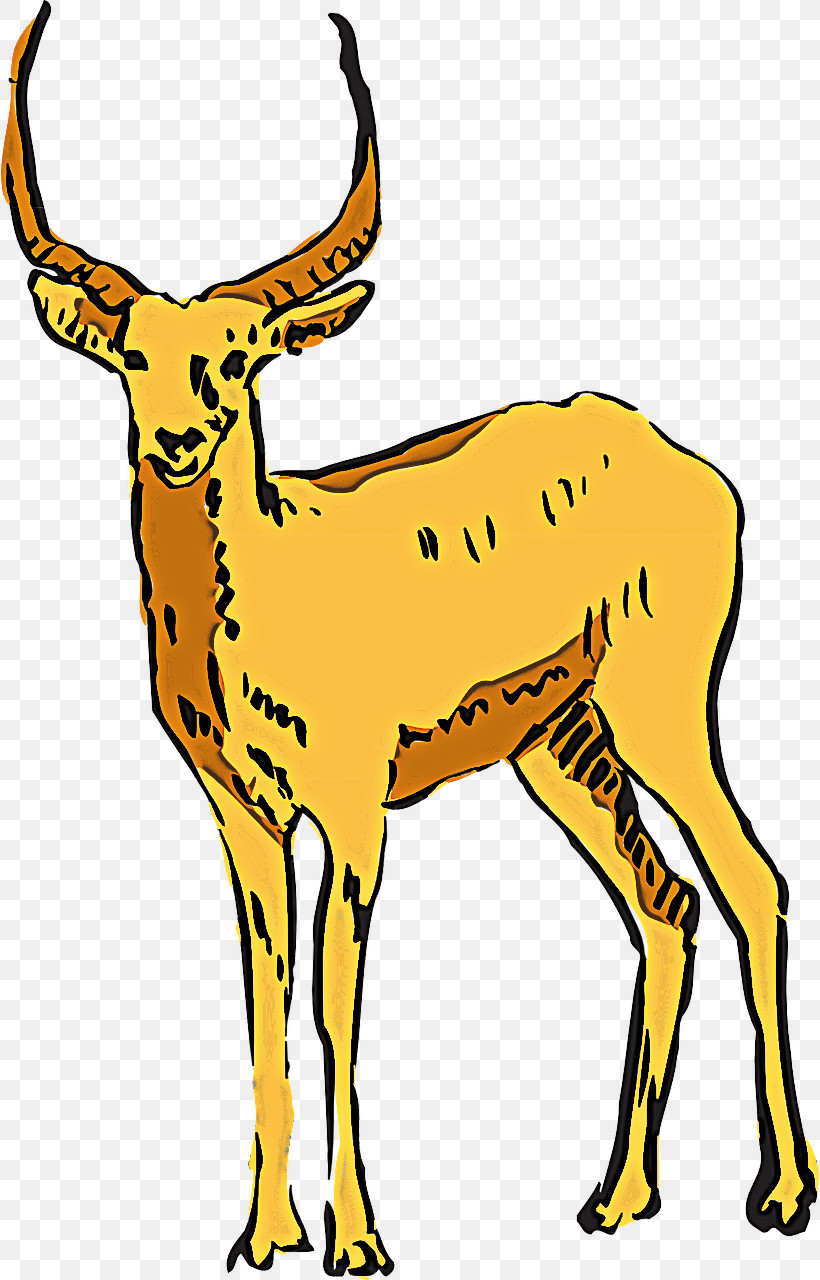 Wildlife Antelope Deer Chamois Cow-goat Family, PNG, 818x1280px, Wildlife, Antelope, Chamois, Cowgoat Family, Deer Download Free