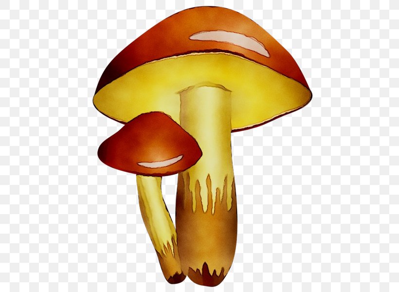 Clip Art Mushroom Product Design Free Content, PNG, 500x600px, Mushroom, Agaricaceae, Agaricomycetes, Bolete, Edible Mushroom Download Free