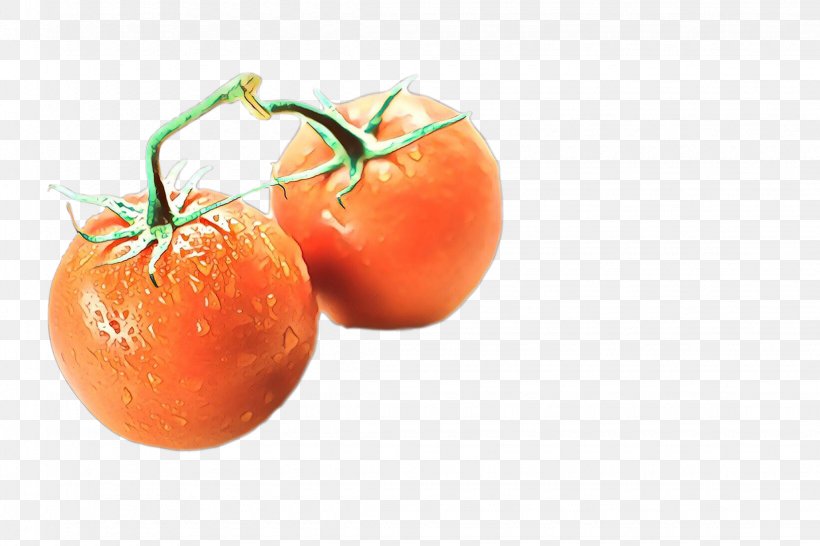 Plum Tomato Bush Tomato Food Mandarin Orange, PNG, 2250x1500px, Plum Tomato, Bush Tomato, Cherry Tomatoes, Diet Food, Dieting Download Free