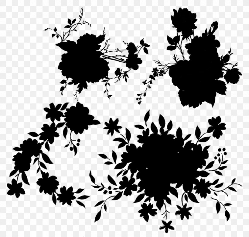 Black & White, PNG, 830x789px, Black White M, Art, Black M, Blackandwhite, Botany Download Free