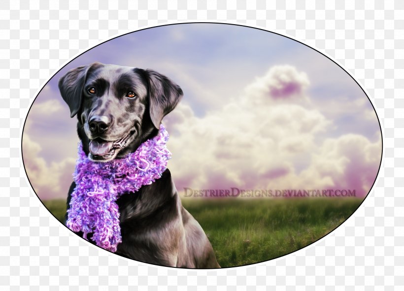 Dog Breed Puppy Sporting Group Snout, PNG, 1900x1371px, Dog Breed, Breed, Dog, Dog Like Mammal, Groupm Download Free