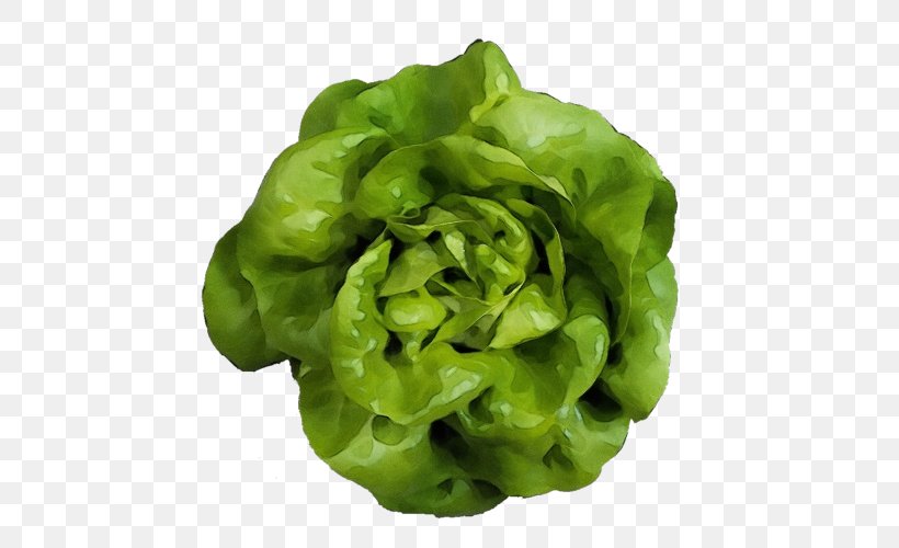 Green Leaf Vegetable Lettuce Iceburg Lettuce Plant, PNG, 500x500px, Watercolor, Blue Sow Thistle, Flower, Food, Green Download Free