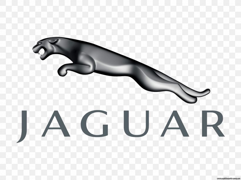 Jaguar Cars Sports Car Jaguar XK, PNG, 1600x1200px, Jaguar Cars, Automotive Design, Black And White, Brand, Car Download Free