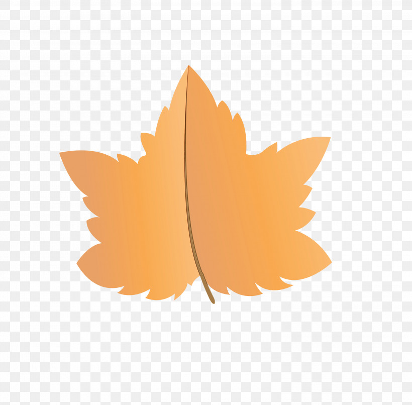Maple Leaf, PNG, 3000x2949px, Autumn Leaf, Biology, Cartoon Leaf, Fall Leaf, Leaf Download Free