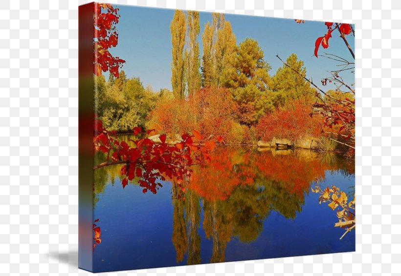 Maple Leaf Gallery Wrap Canvas Art Photography, PNG, 650x566px, Maple Leaf, Art, Autumn, Canvas, Gallery Wrap Download Free