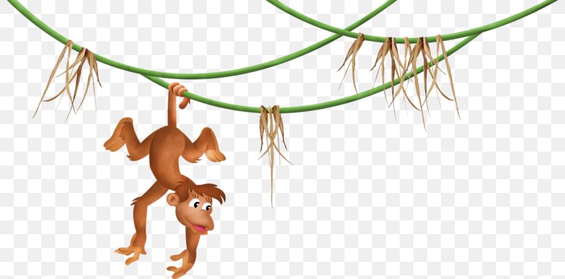 Monkey, PNG, 800x405px, Monkey, Animaatio, Branch, Cartoon, Fictional Character Download Free
