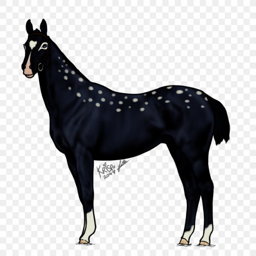 Mule DeviantArt Foal Artist, PNG, 894x894px, Mule, Art, Artist, Bridle, Colt Download Free