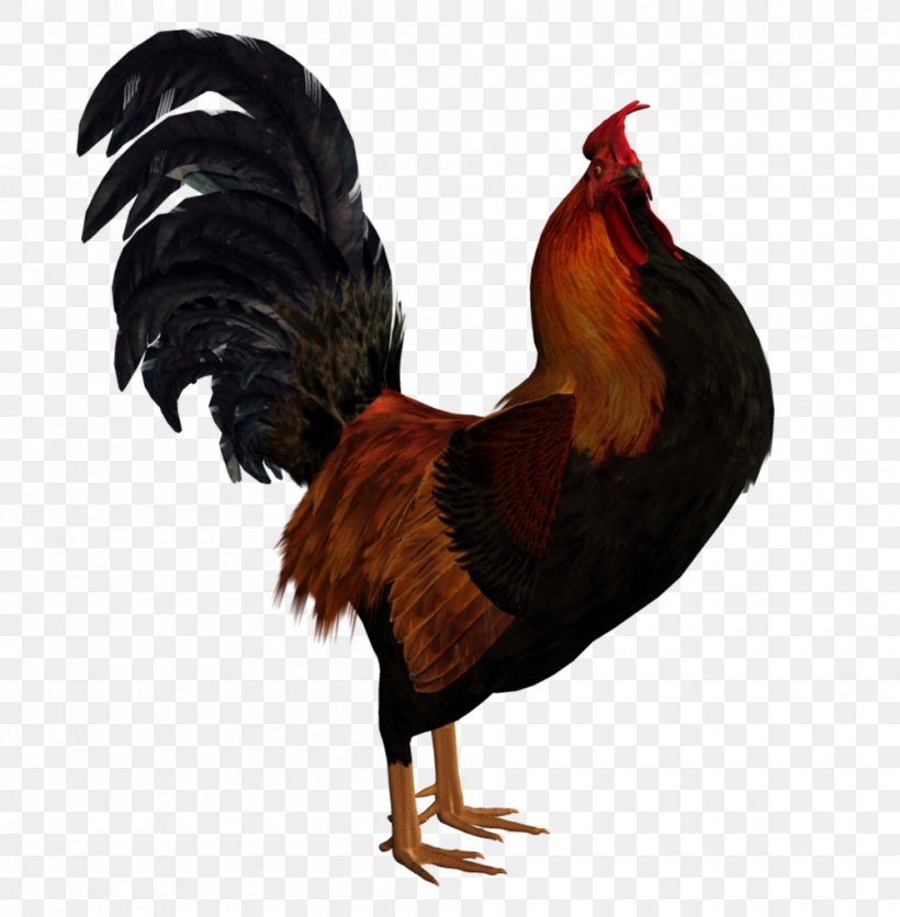 Rooster Chicken Subaru Poultry Drawing, PNG, 1000x1020px, 2016 Subaru Wrx Sti, Rooster, Beak, Bird, Chicken Download Free